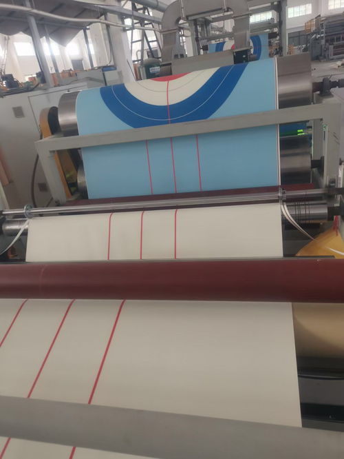 专业定制，尽显非凡——记昨日工厂所见陆地冰壶地壶球专用运动地板